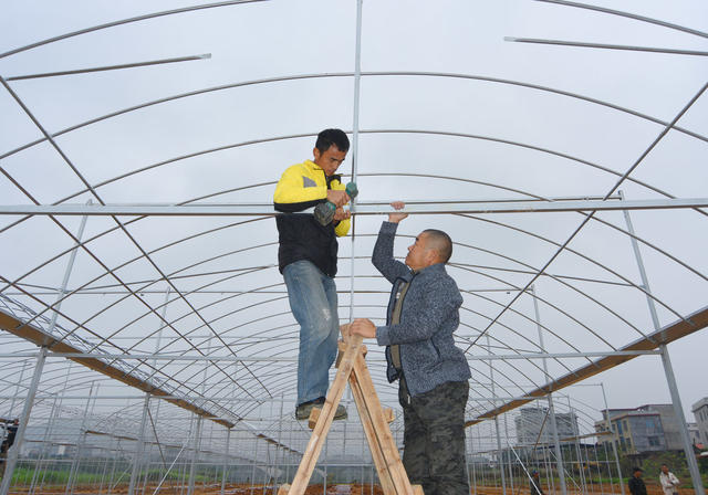 嘉禾：蔬菜大棚建设忙