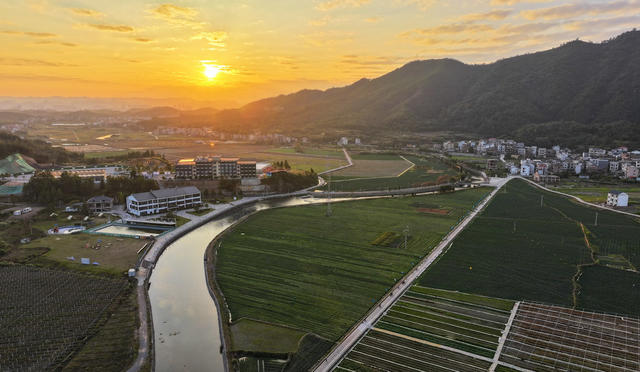 田园  蔬菜  美景  乡村  初冬