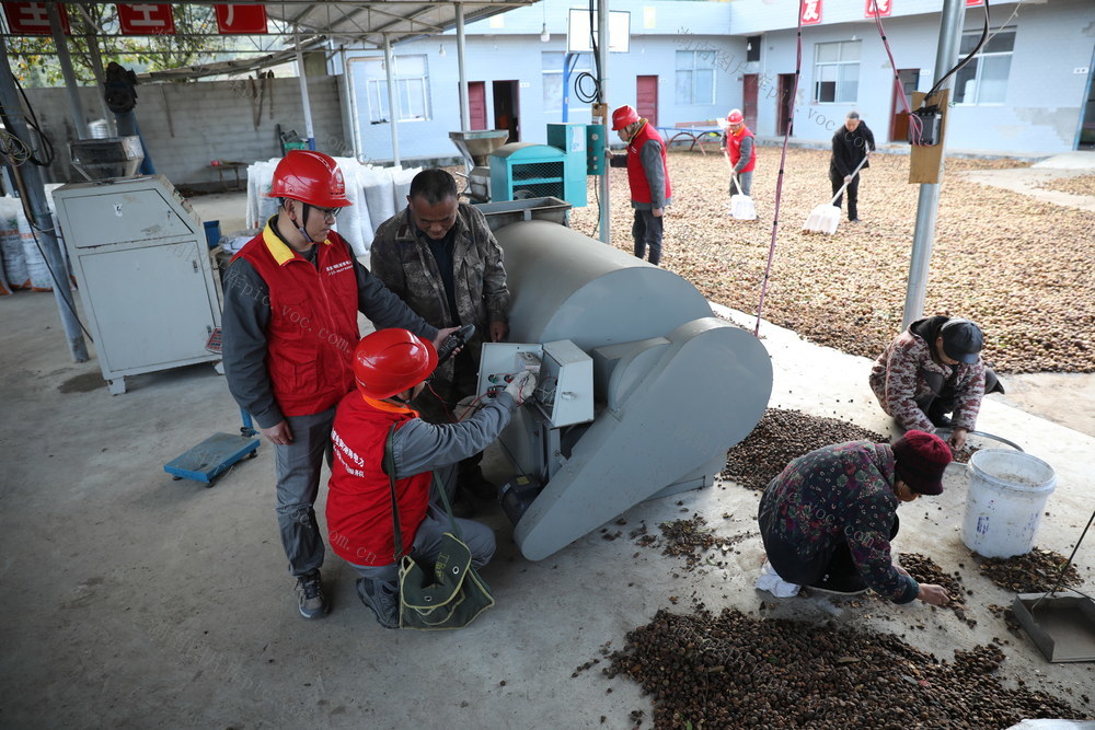 供电服务 高山油茶