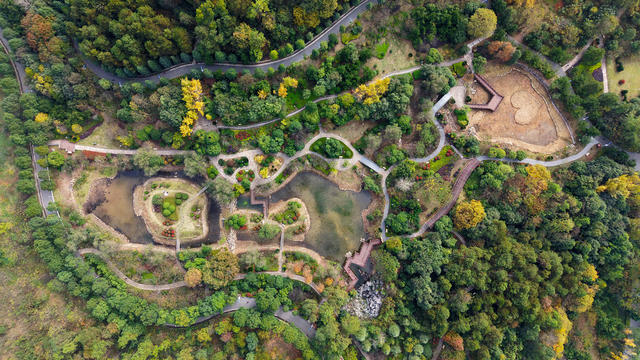 冬日  公园  美景 如画  景色