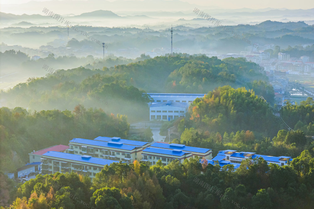 冬日  雾  乡村  生态  田园  环境