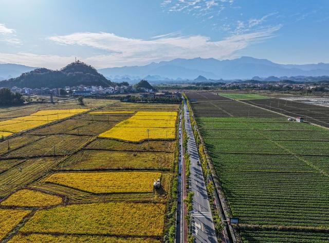 初冬田园
道县