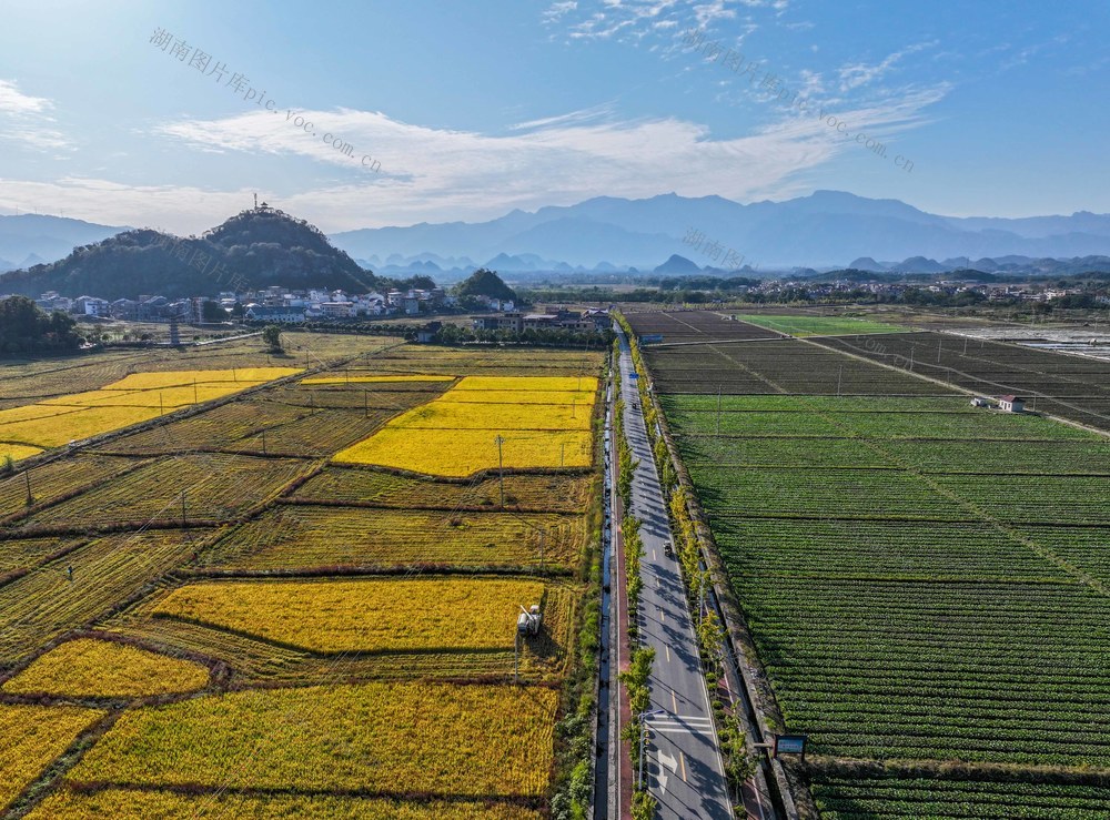 初冬田园
道县