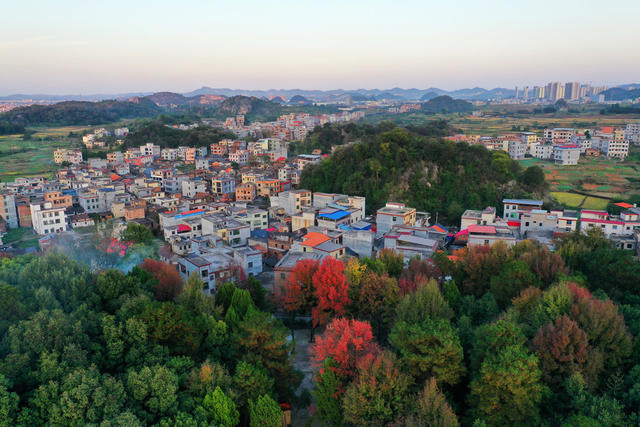 嘉禾：初冬乡村美