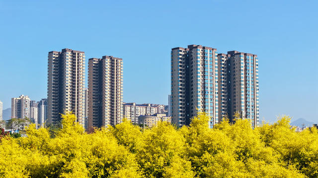 生态  城市  绿色  美景