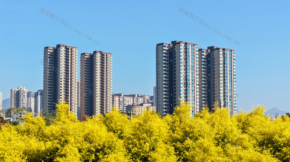 生态  城市  绿色  美景
