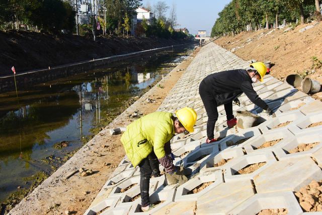 河流  排灌沟渠  水资源治理  生物多样化  水体提质