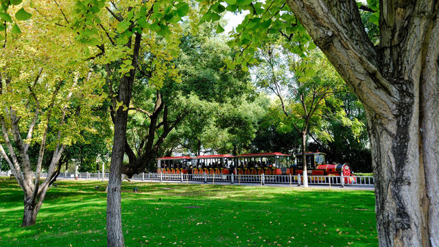 橘子洲景区，游人如织