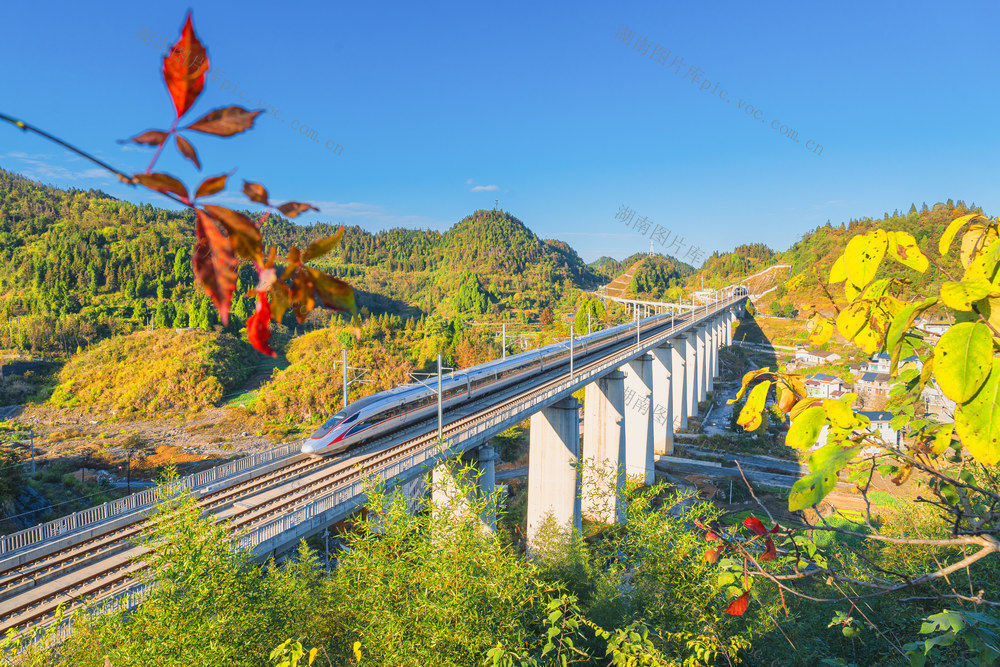 吉首市双塘街道周家寨  高铁在浓郁的山色中穿梭  助力乡村振兴