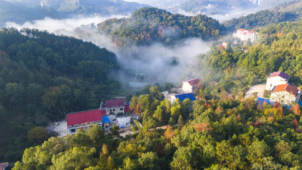 娄底 晨雾 绿色发展 绿化美化 和美乡村