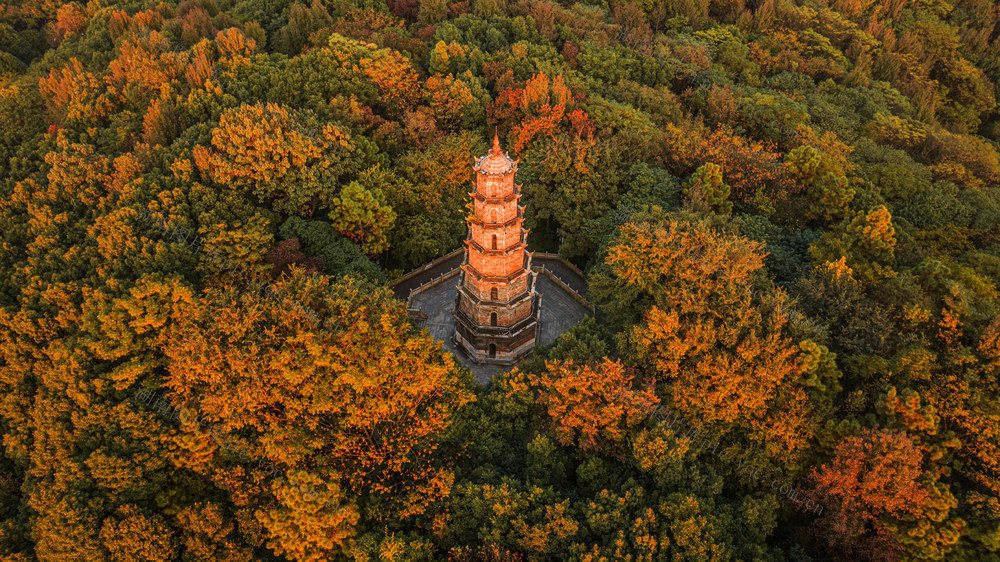 航拍  湖南 郴州  南塔公园  立冬 
   枫叶林  文化地标  南塔  红叶 
 美丽画卷 