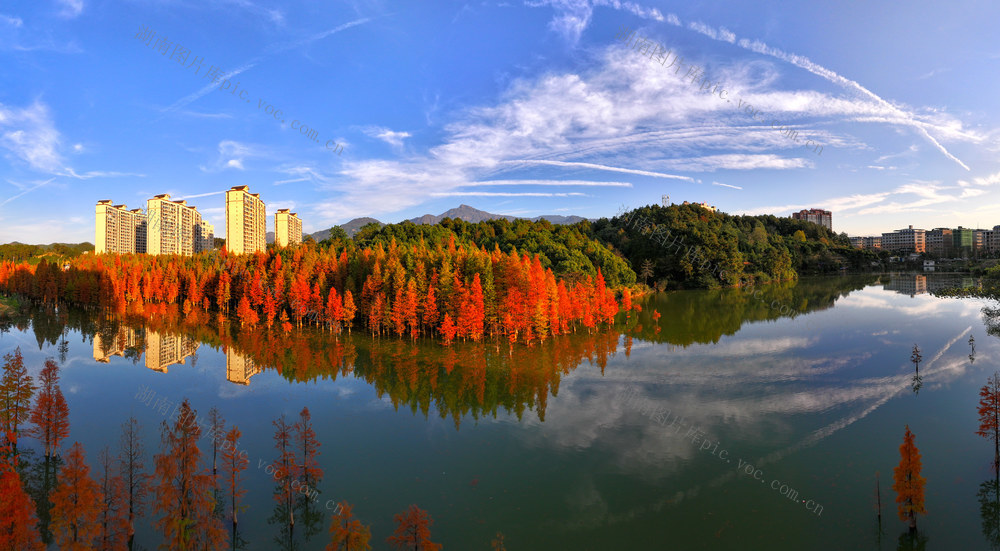 香杉湖初冬胜景