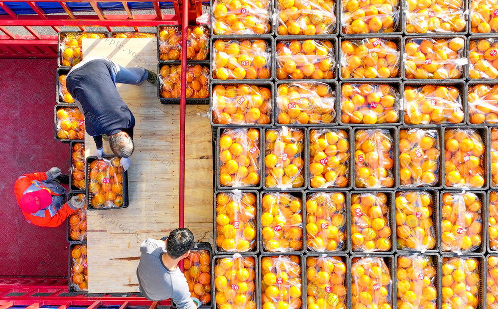 脐橙
道县
销售
