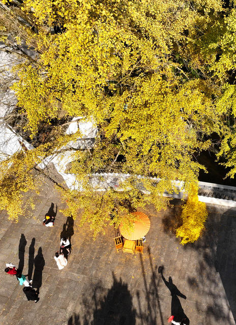 冬日 美景 色彩 斑斓 