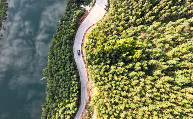 绿色 生态 公路 城乡 景美