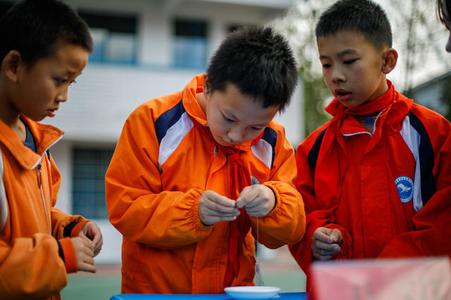 通道   小学生    劳动   技能   比赛