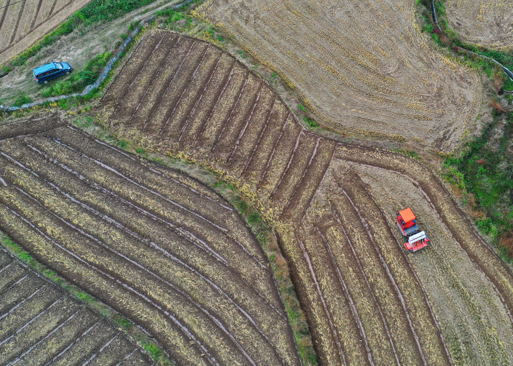 蓝山：冬耕农忙