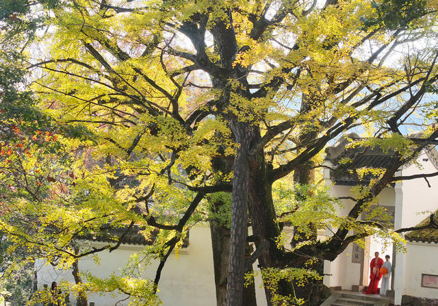 冬日 美景 色彩 斑斓 