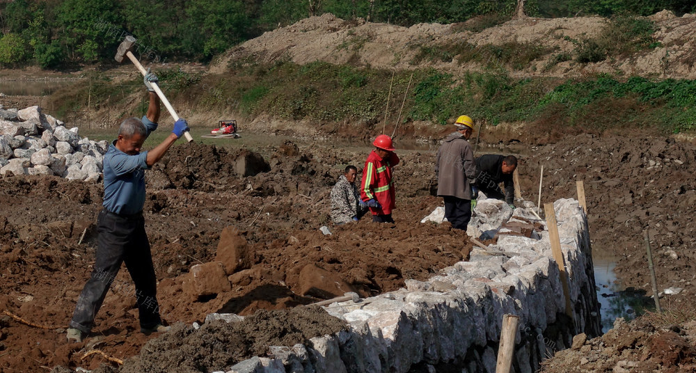 村民 自发 修河堤