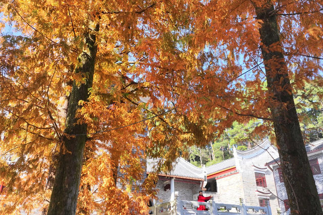 冬日 美景 色彩 斑斓 