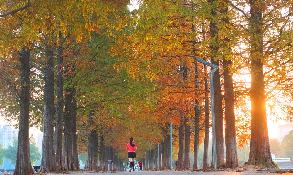 冬日 美景 色彩 斑斓 