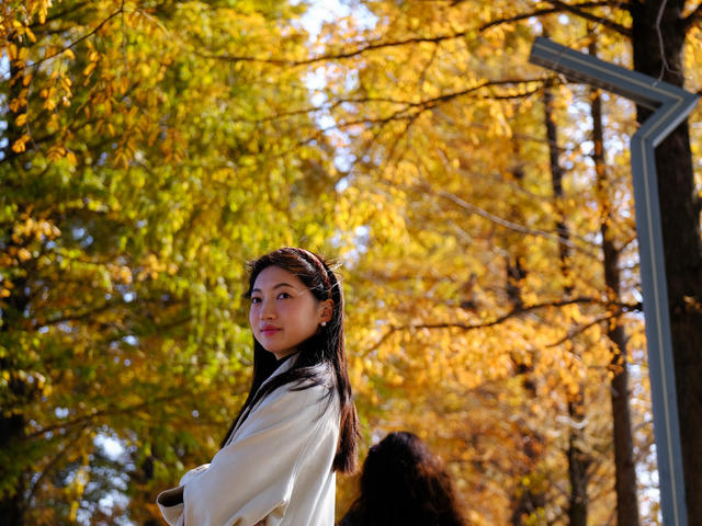 烈士公园游人如织