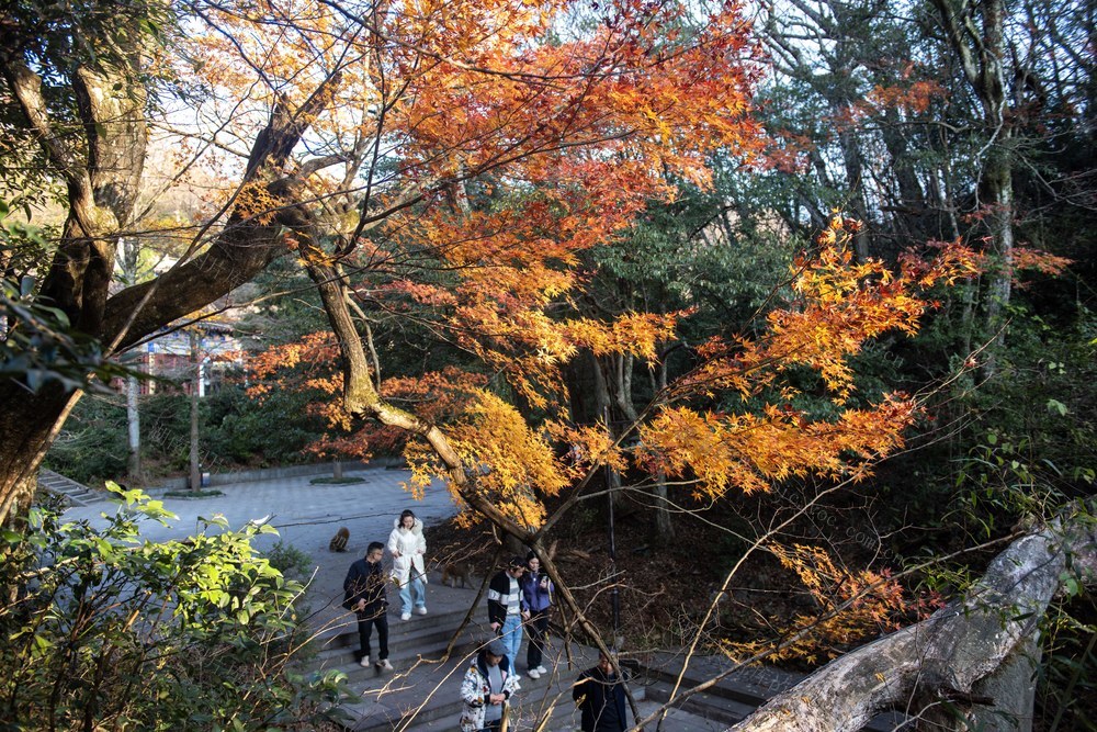 娄底 冬日 游客 观光