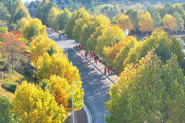 校园 冬日 暖阳 缤纷 色彩  斑斓
