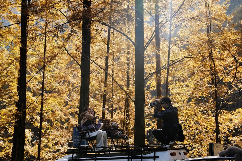 凤凰 山水长潭染秋色  水杉红透 五彩斑斓 
 景美如画