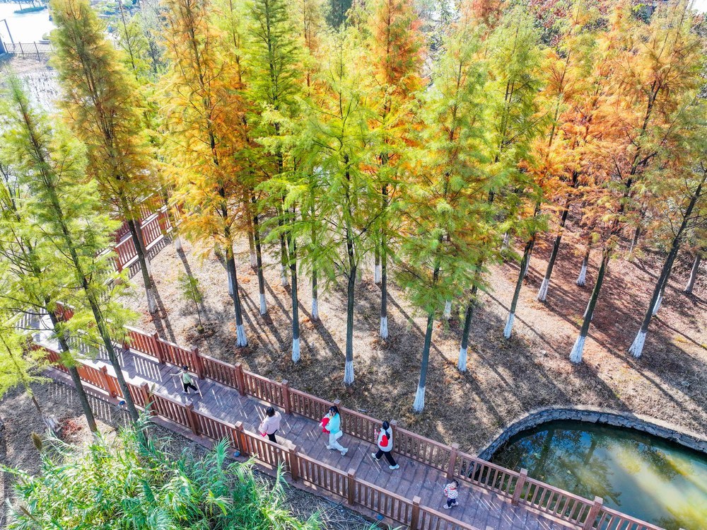 冬景
道县
公园