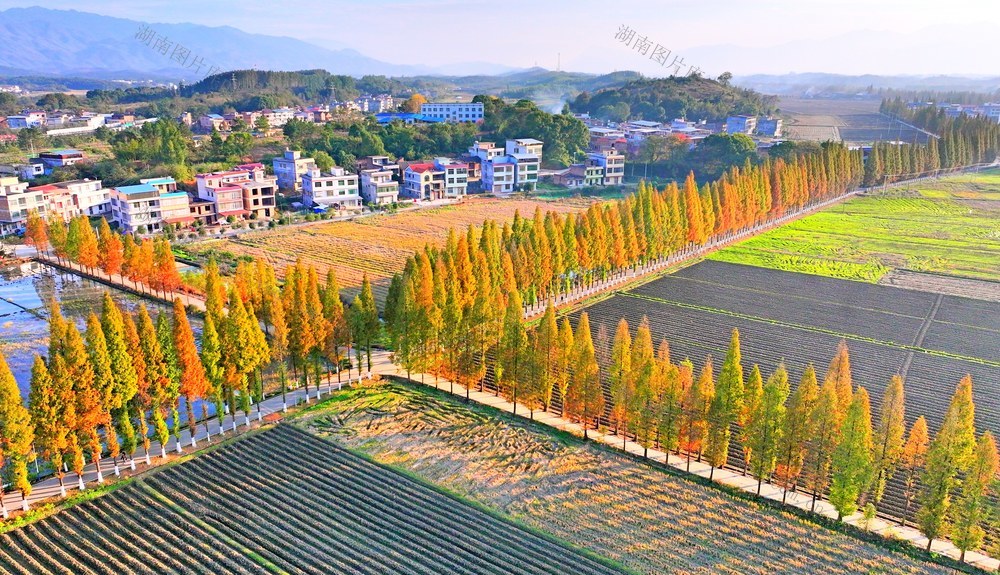 湖南  常宁  乡村  美景