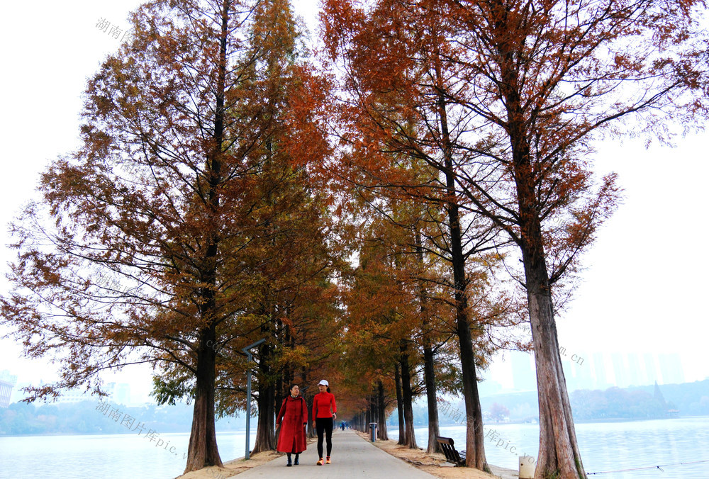 冬日暖阳，湖南烈士公园