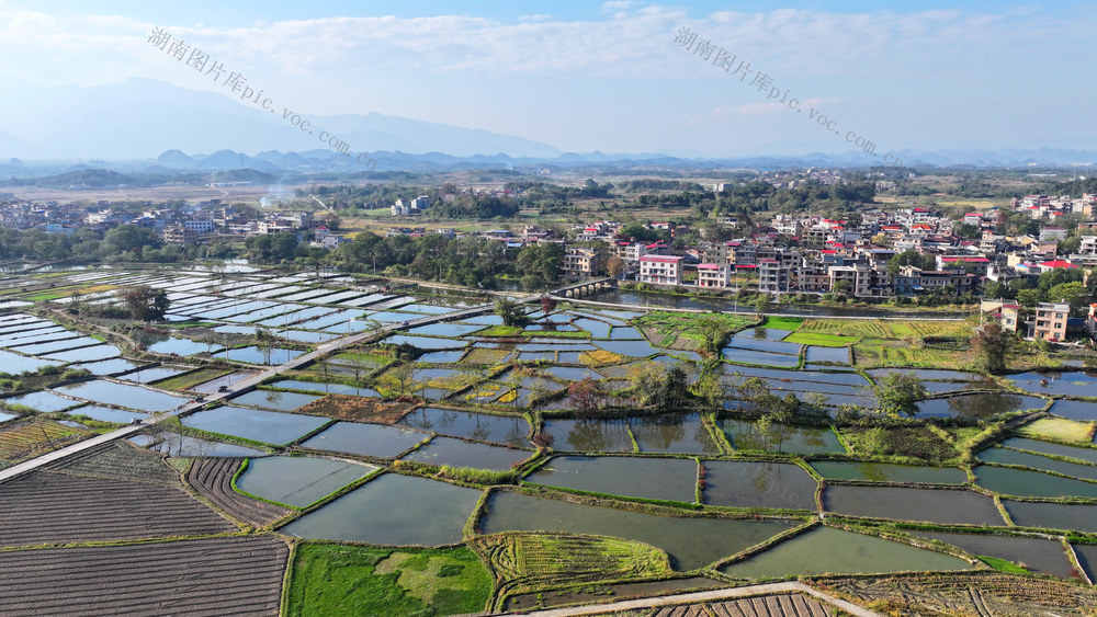 生态 鱼塘 致富