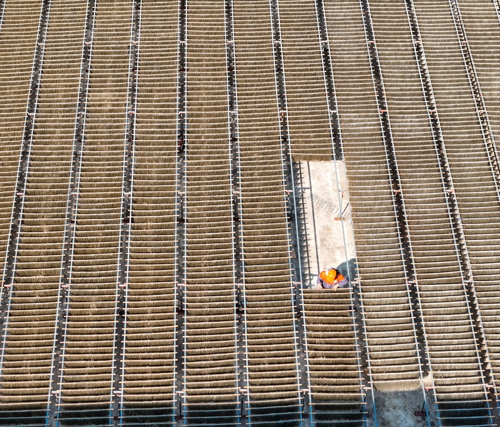 红薯  粉丝  粉条  加工  生产  晾晒