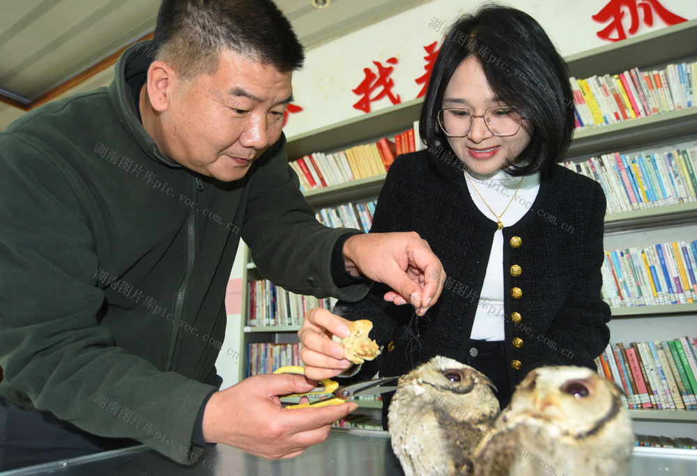 嘉禾：爱鸟护鸟  干群热心