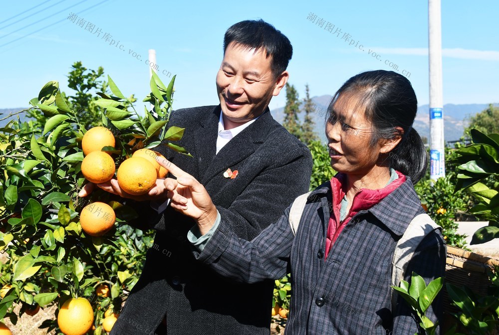 党员服务   一线助农