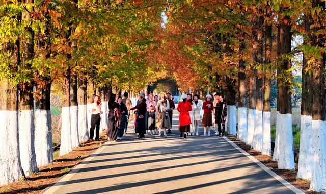 湖南  常宁  乡村  美景