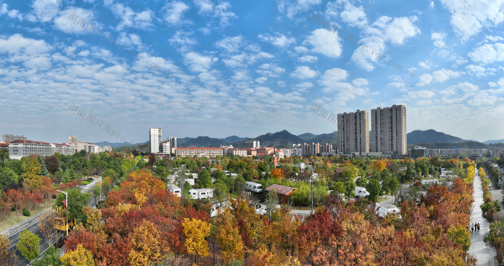 城市公园风光美