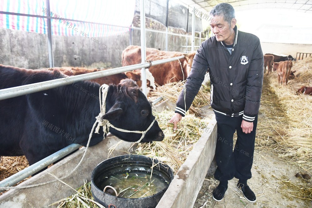 残疾人员  致富有方