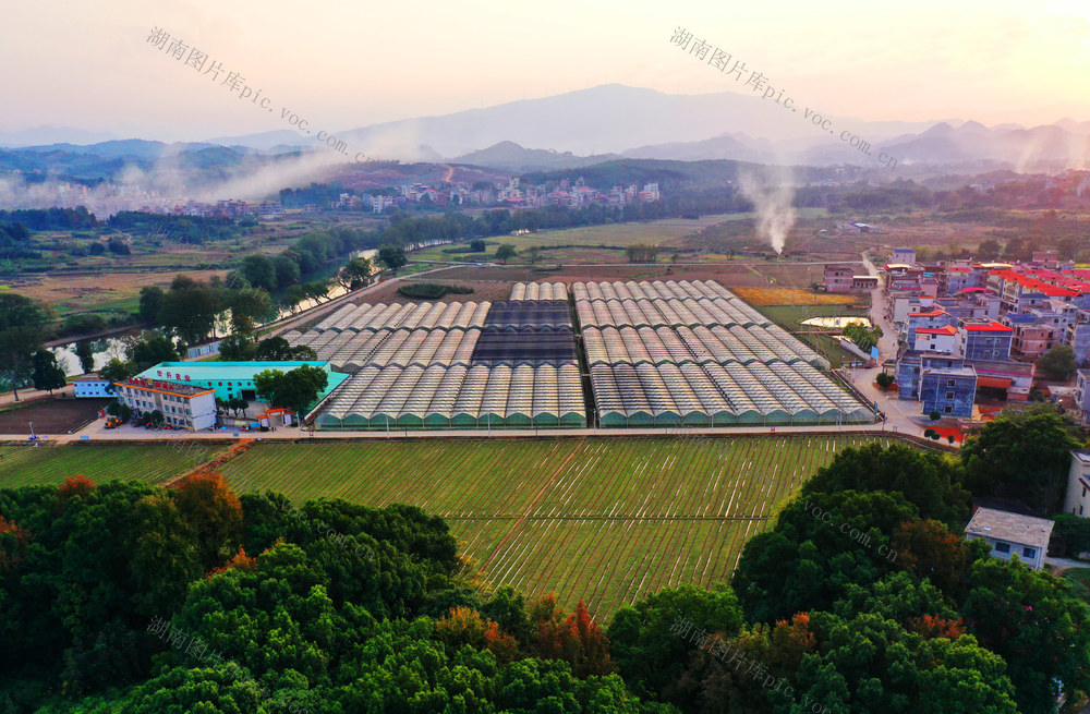 嘉禾：乡村冬色美