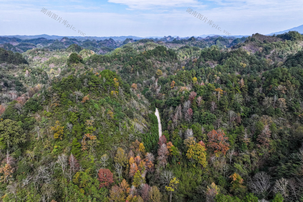 万佛山 山林 冬景  色彩 公园 生态