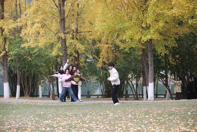 湘西；大学；银杏；美景；游人；金黄；迷人；市民；游客；欣赏
