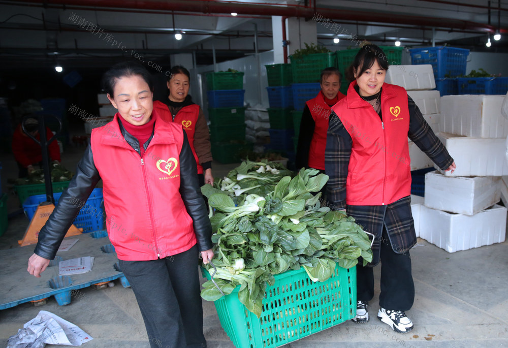 湖南桂东 志愿者 乡村振兴 国际志愿者日 庆