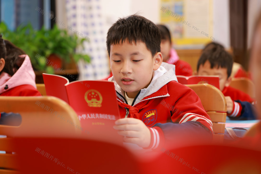 学习 宪法 宪法日 