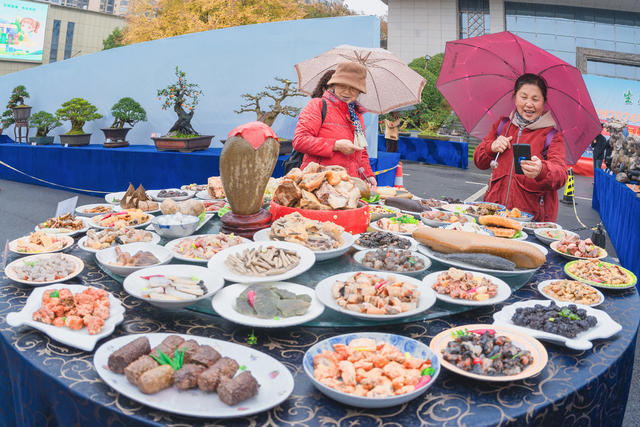 湘西州举办2024年盆景、赏石、兰花林业特色产业联展  市民们冒雨观赏盆景、奇石、兰花展  “生态发展、美丽发展”