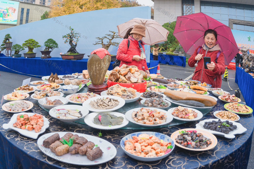 湘西州举办2024年盆景、赏石、兰花林业特色产业联展  市民们冒雨观赏盆景、奇石、兰花展  “生态发展、美丽发展”
