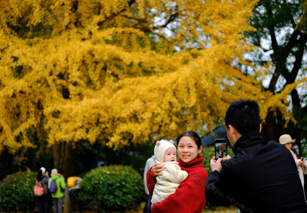 湖南烈士公园，冬日美景  