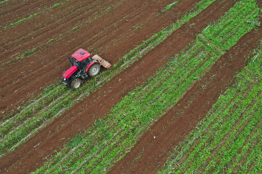 嘉禾：初冬农耕忙