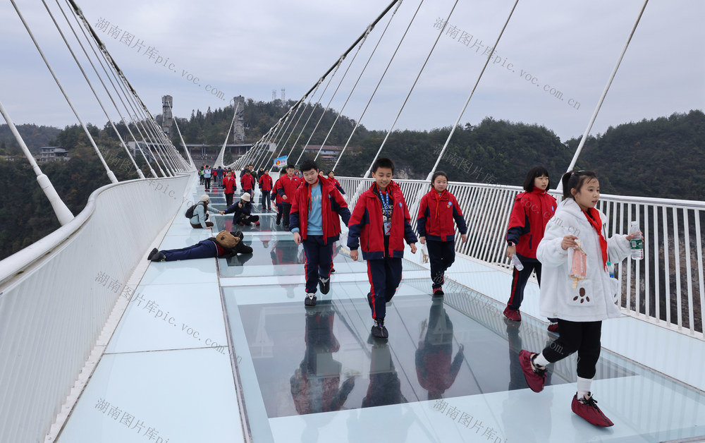 张家界 大峡谷 研学