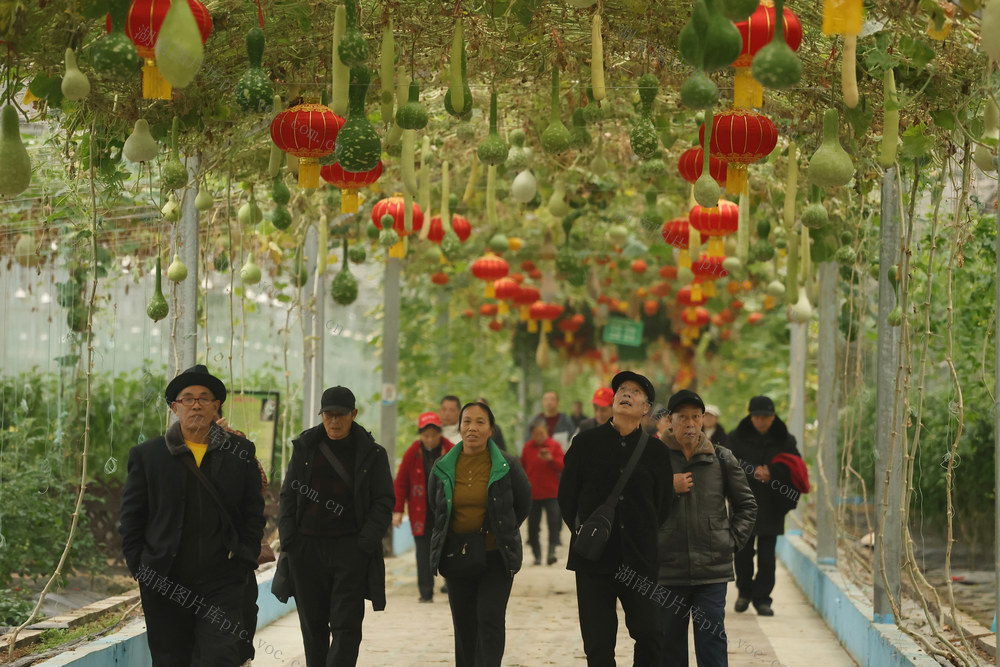 农文旅 融合 发展 